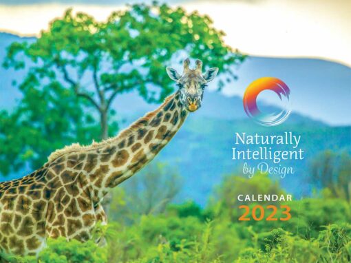 Naturally Intelligent by Design 2023 Calendar