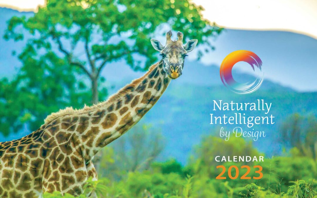 Naturally Intelligent by Design – Calendars